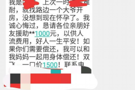 微山为什么选择专业追讨公司来处理您的债务纠纷？